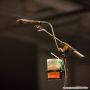 20140802_23-30-58_IMG_1025